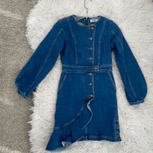 Amur size 4 denim dress